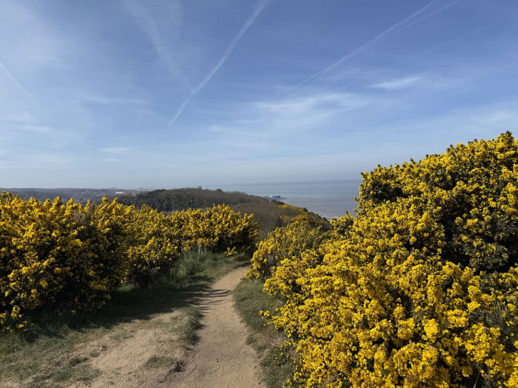 Norfolk Coast Path